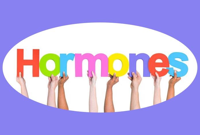 Hormones – The Secret to Healthy Metabolism