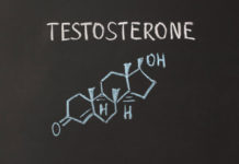 Maintaining Testosterone Balance Before and After Menopause Maintaining Testosterone Balance Before and After Menopause