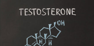 Maintaining Testosterone Balance Before and After Menopause
