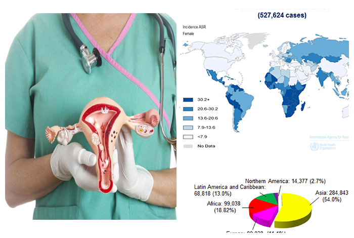 Overview and Statistical Facts