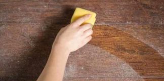 a study finds that dust can make you fat