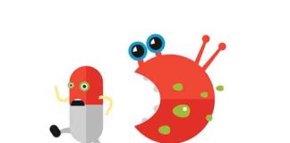 Antibiotics – Eating Bacteria Can Be a Prospective Solution to Drug-Resistant Superbugs antibiotic – eating bacteria can be a prospective solution to drug-resistant superbugs