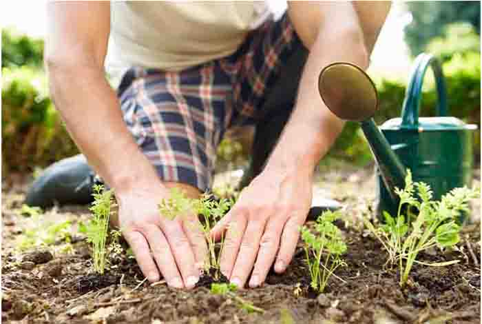 boost brain health with gardening