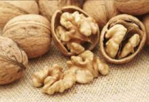 Can Walnuts Prevent Colorectal Cancer? can walnuts prevent colorectal cancer