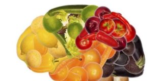 what you eat can affect the size of your brain