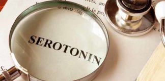 amazing role of serotonin in learning