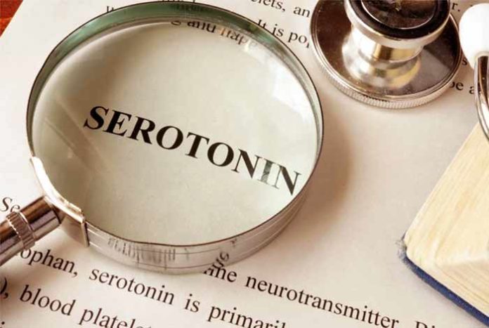 amazing role of serotonin in learning