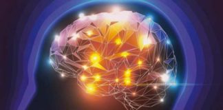 scientists point out where the brain processes spiritual experiences