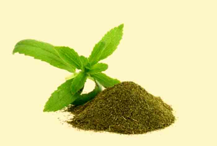 what is stevia