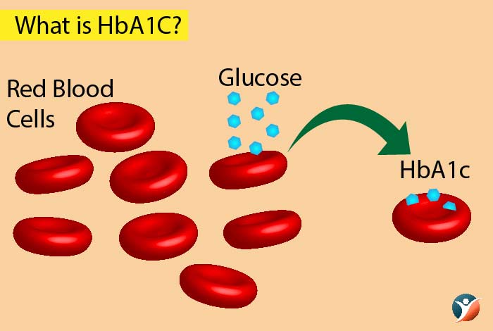 What is HbA1C