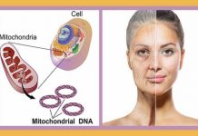 wrinkles and hair loss