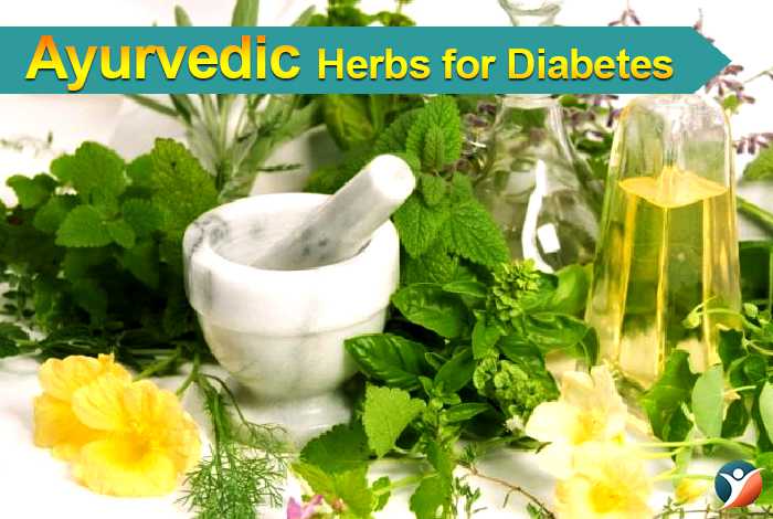 Ayurvedic Herbs for Diabetes