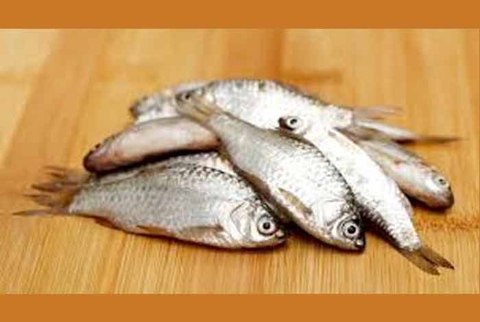 high mercury fish