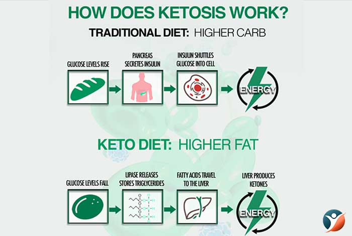 how ketogenic diet works
