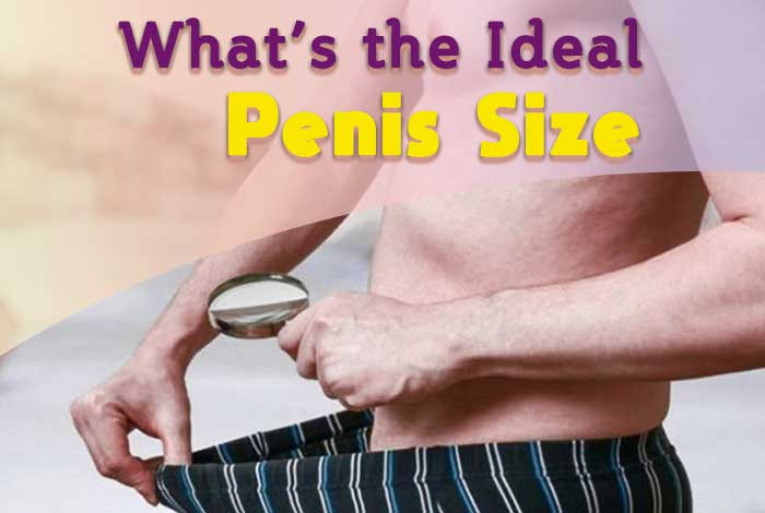 what’s the ideal penis size