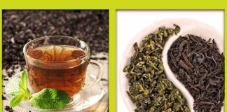 green tea and black tea