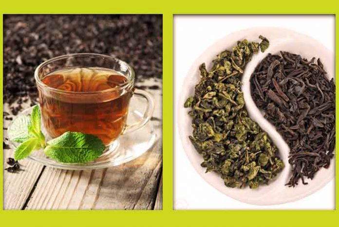 green tea and black tea