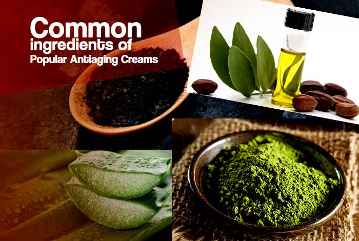 common ingredients of anti aging creams for men