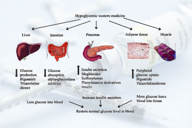 diabetes-etiology-origin-and-development-extensive-guide