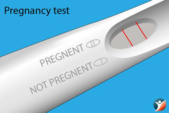 Pregnancy test