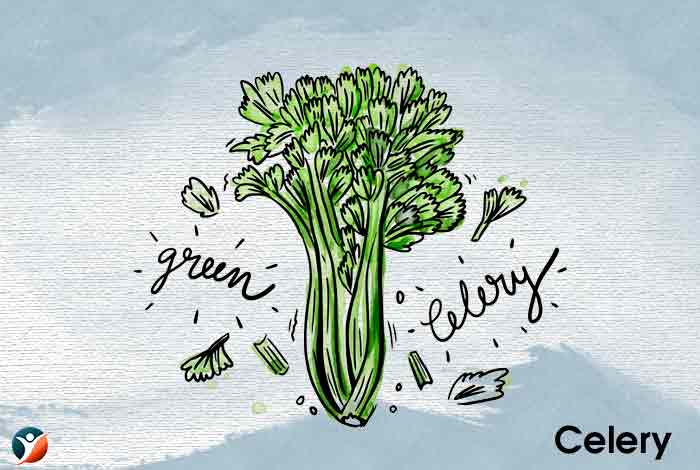 Celery