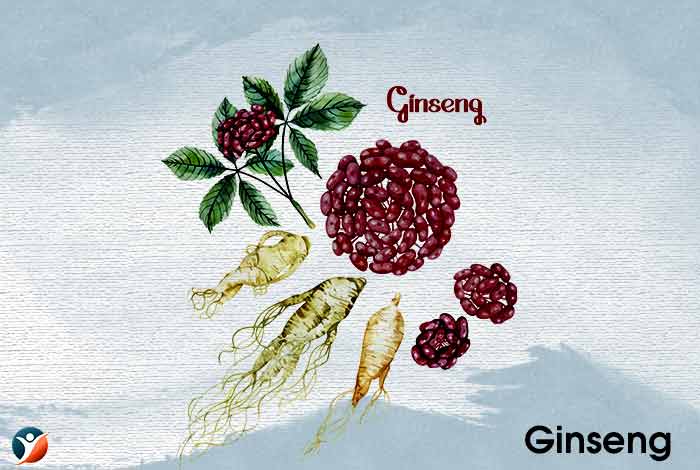 Ginseng