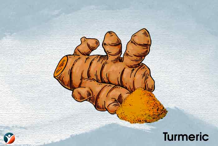 Turmeric