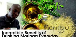 Moringa : The Amazing New “Superfood” Experts are Vouching For
