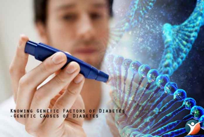 Knowing Genetic Factors of Diabetes-Genetic Causes of Diabetes Type I Diabetes