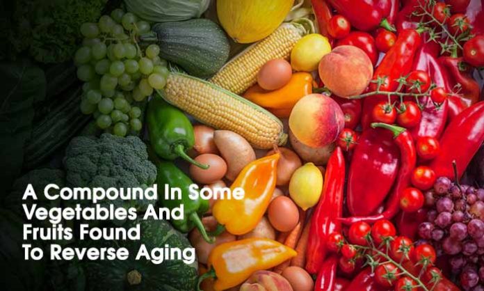 A Compound in Some Vegetables and Fruits Found to Reverse Aging