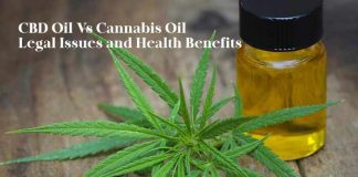 A Comprehensive Overview of CBD and Cannabis Oil