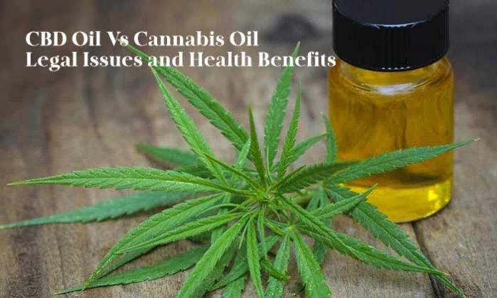 A Comprehensive Overview of CBD and Cannabis Oil