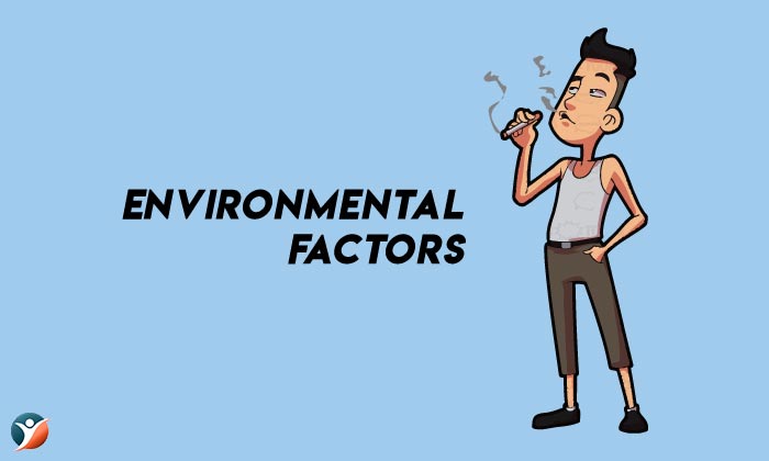 Environmental Factors