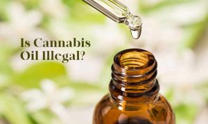 Is Cbd Oil Legal In Montana