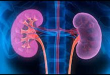 Preventing Chronic Kidney Disease with Anti Inflammatory Diet