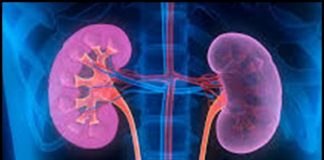 Preventing Chronic Kidney Disease with Anti Inflammatory Diet