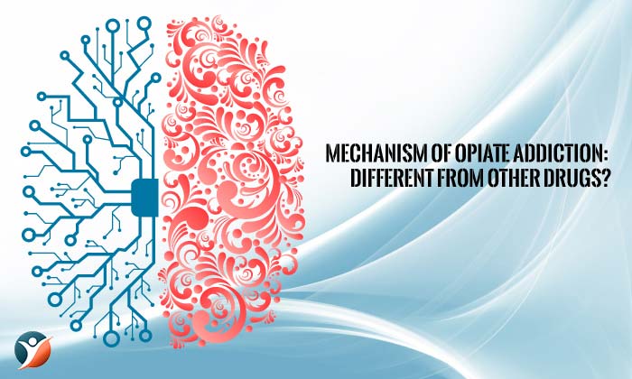 Mechanism of Opiate Addiction: Different from Other Drugs?