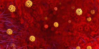 Coronavirus Outbreak: Myths Busted, It’s Not As Deadly As People Are Making It! Coronavirus-myths-busted