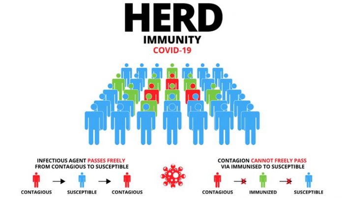 herd-immunity