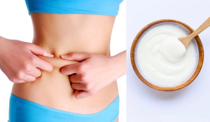 Yogurt-burns-belly-fat