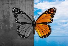 Understanding best treatment for Bipolar Disorder- A Study bipolar disorder