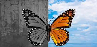 bipolar disorder