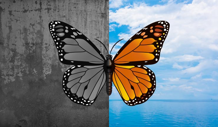 Understanding best treatment for Bipolar Disorder- A Study bipolar disorder