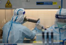 New Antiviral Drug Might Prevent The Spread of Covid, Research Confirms New Antiviral Drug Might Prevent The Spread of Covid, Research Confirms